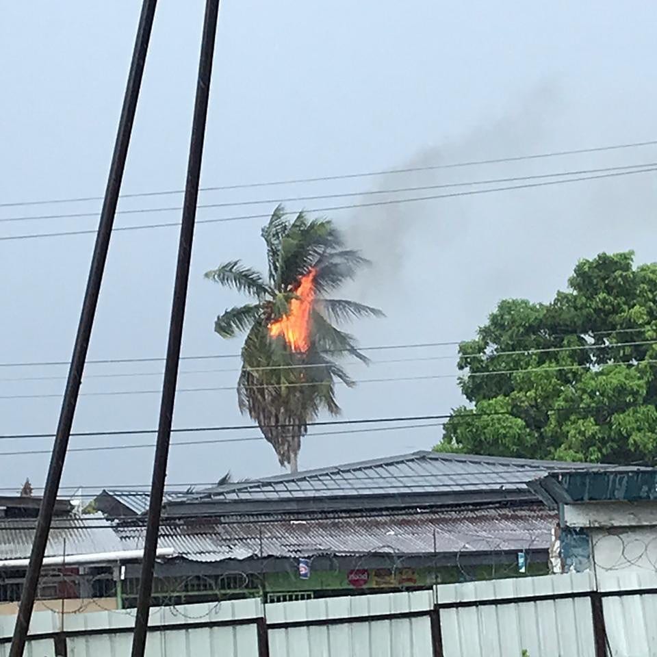 Frequent lightning on October 13th, 2020 struck a coconut tree in Valsayn, setting it on fire. There were no reports of damage to nearby homes.