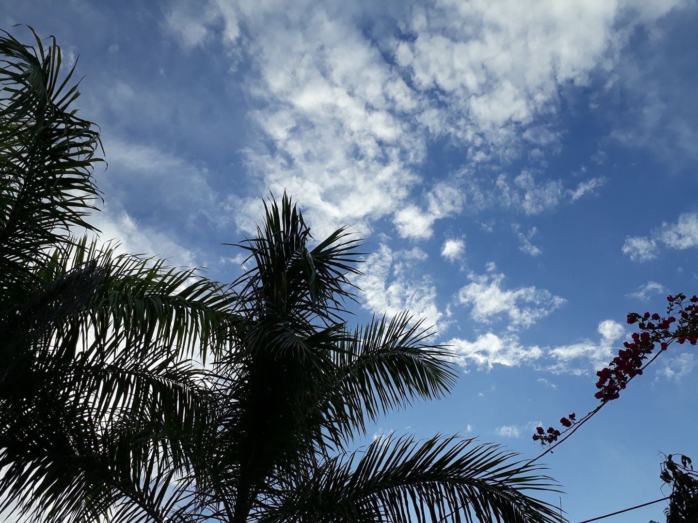 Sunny skies across South Trinidad on March 4th, 2018. (Soames Baboolal)