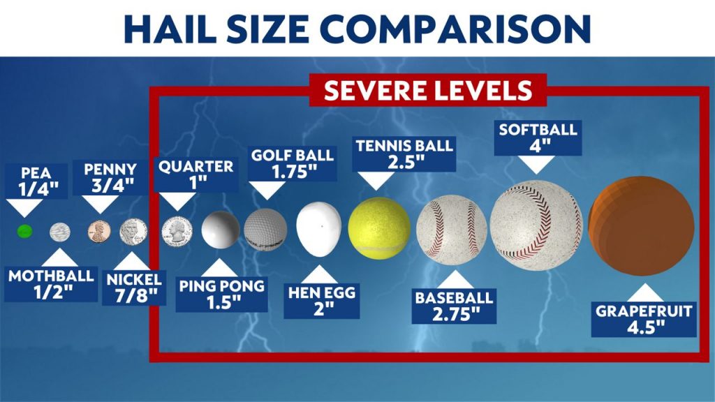 Common terms that are used to describe the size of hailstones in storm reports.