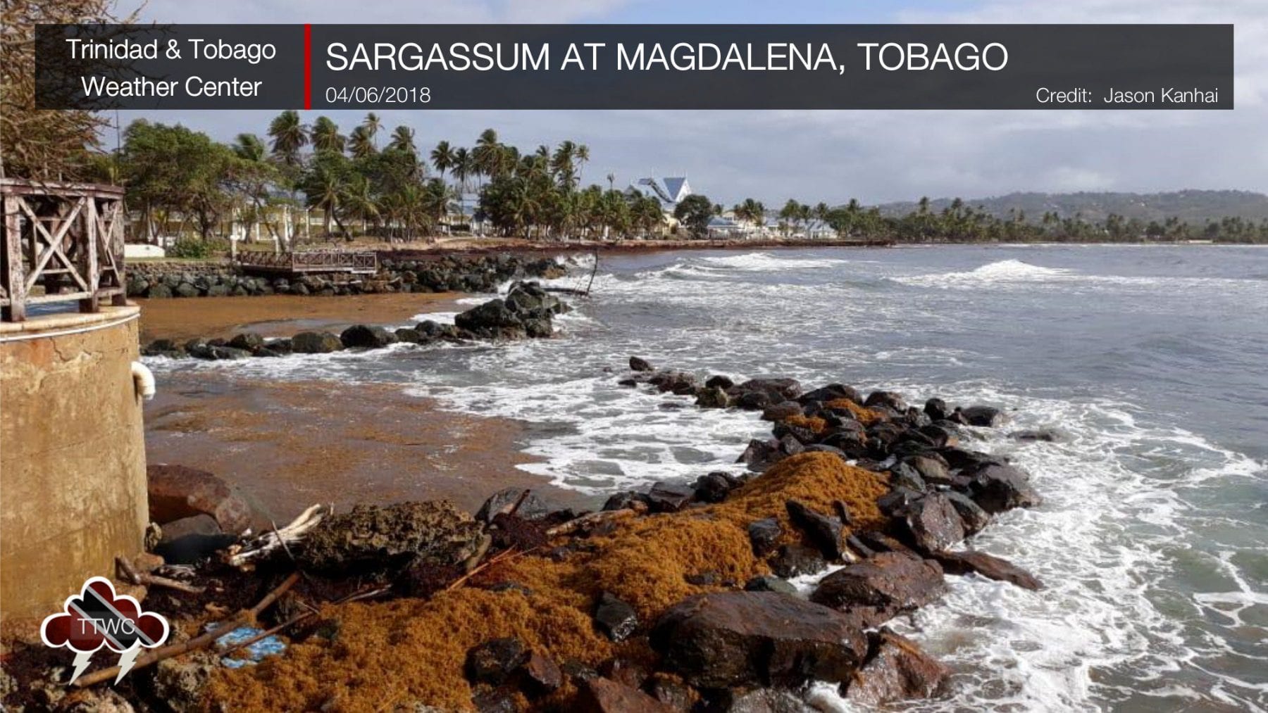 Sargassum forces the closure of beaches at the Magdalena Beach Resort in Tobago during an influx of the seaweed in June 2018.