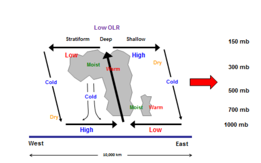 Schematic cross-section through a convectively coupled Kelvin wave (CCKW). (Image: Michael Ventrice)