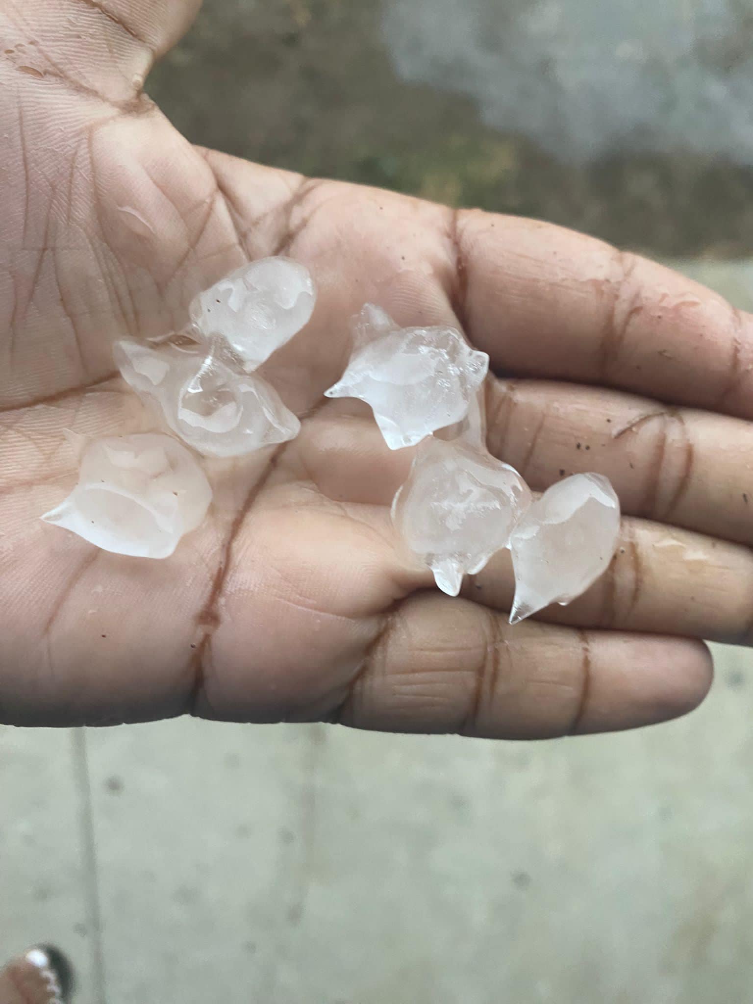 Hailstones seen at Saddlers Village, St. Kitts on Thursday morning.