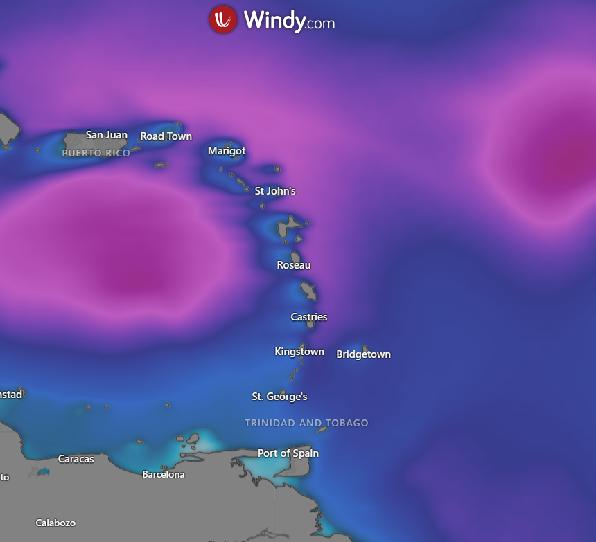 European model for seas on Saturday for Sunday, August 20th, 2023, as a result of Tropical Wave 35/Invest 90L (Windy)