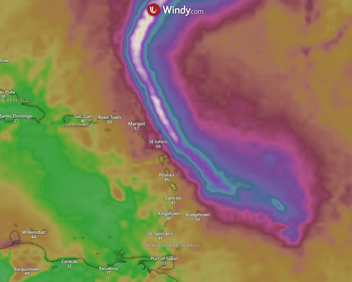 European model for peak wind gusts through Sunday as a result of Tropical Storm Tammy as of 11:00 PM Thursday, October 19th, 2023 (Windy)