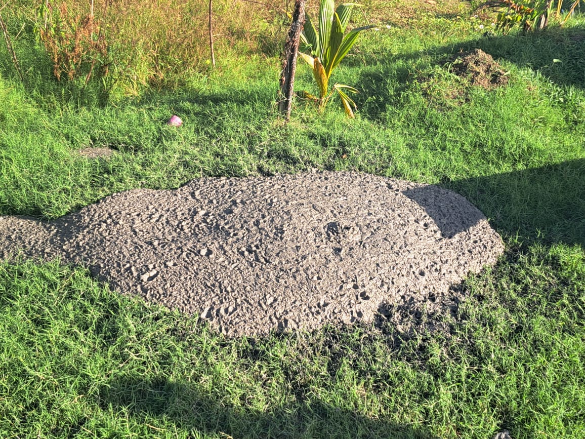 One of the new vents of the Cascadoux Mud Volcano on Friday morning, January 12th, 2024.