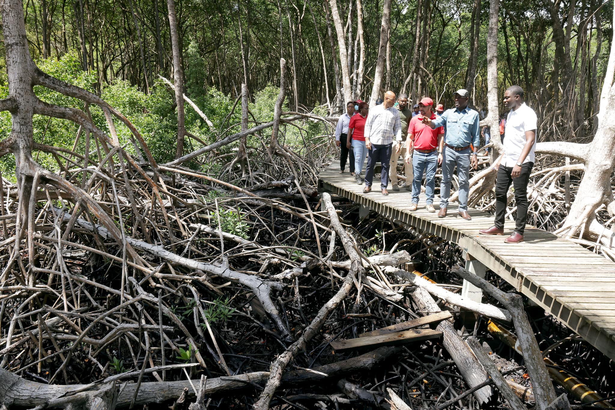 Prime Minister Dr Keith Rowley, Tobago House of Assembly Chief Secretary Farley Augustine and others view the damage at Petit Trou Mangrove and Boardwalk on February 10th, 2024 (THA)