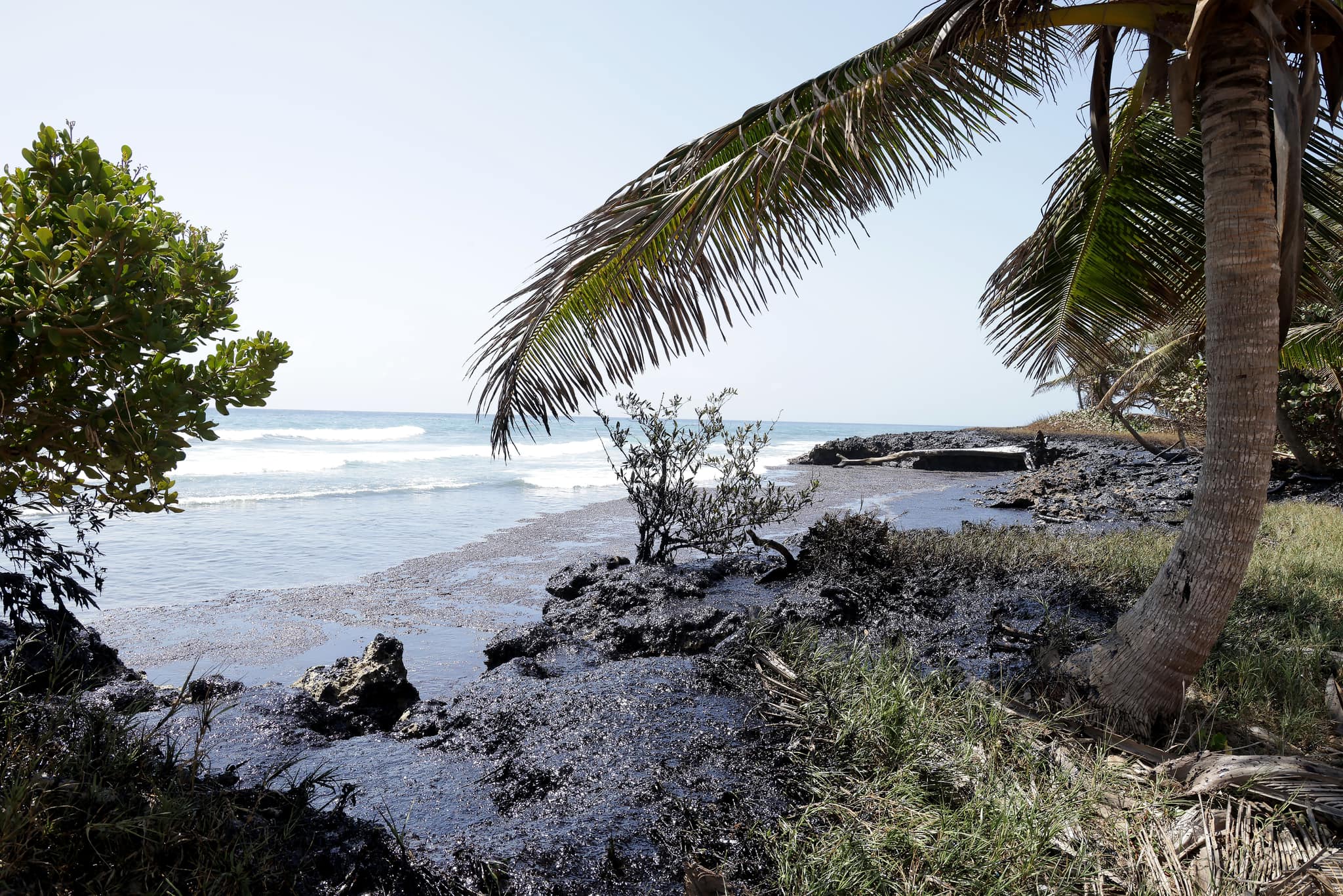 Oil-like substance covering the coastline near Cove, Tobago on February 10th, 2024 (THA)