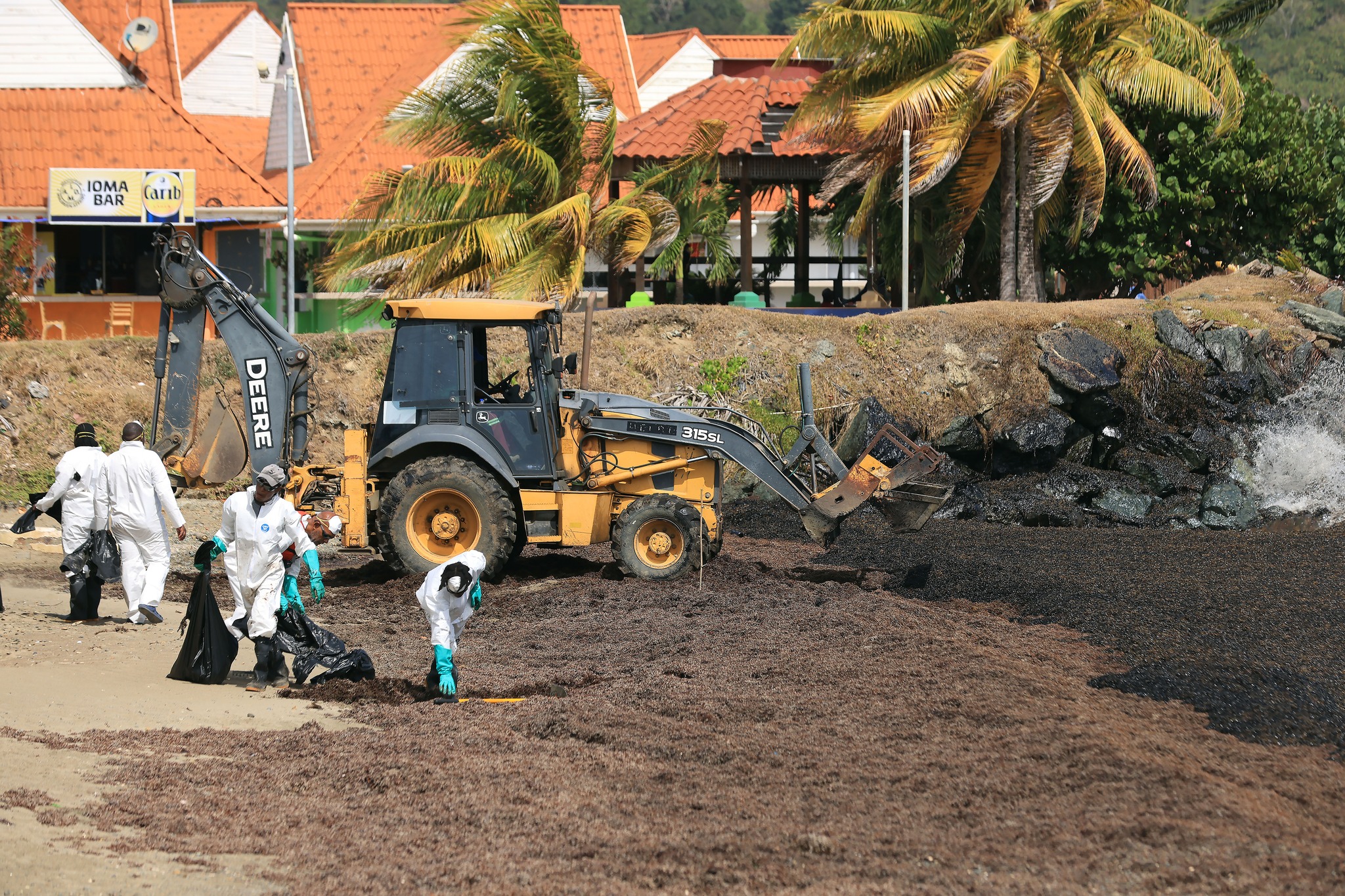 Clean-up in Scarborough, Tobago as an oil-like substance washes up on shore, saturating Sargassum. (THA)