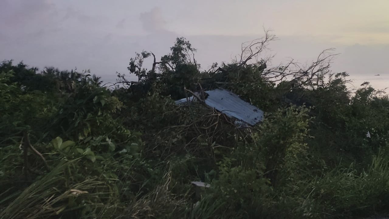 A tornado on August 16th, 2021, threw sheets of galvanized steel into a tree in Los Iros, South Trinidad.