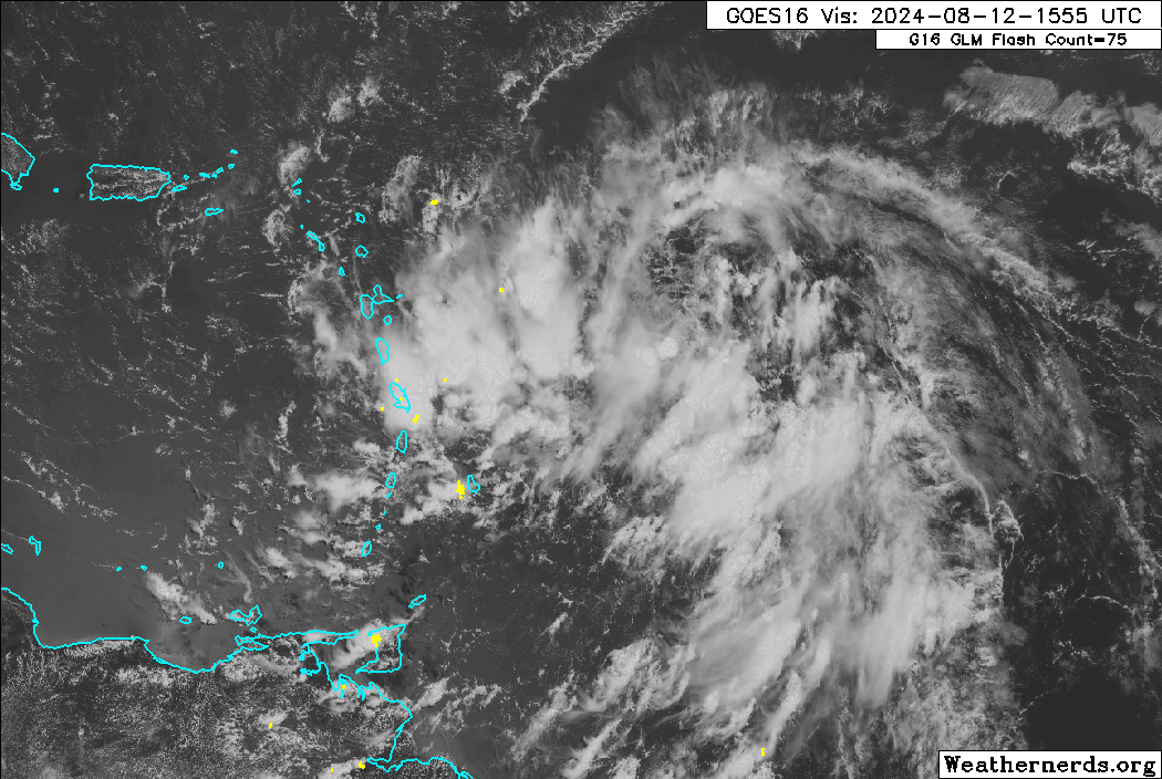 Tropical Storm Ernesto east of the Lesser Antilles on Monday, August 12th, 2024. (Weathernerds.org)