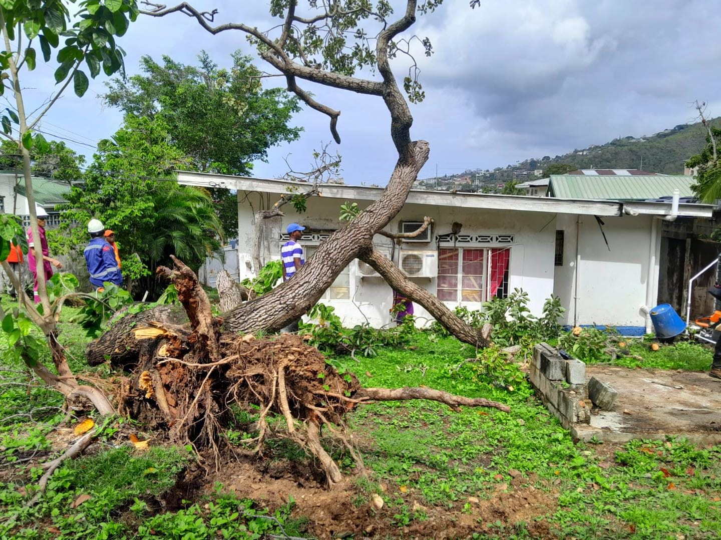 A fallen tree on a home on William Road, Petit Valley